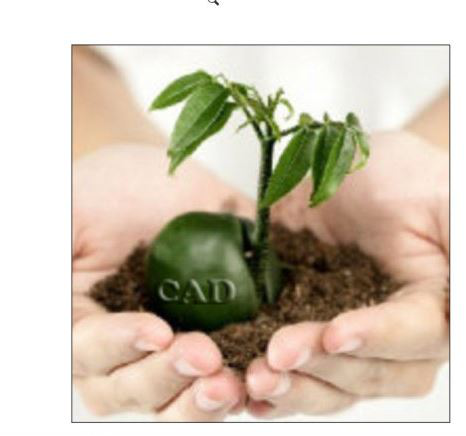 CAD�е�ͼƬ�ı߿���ôȥ������������