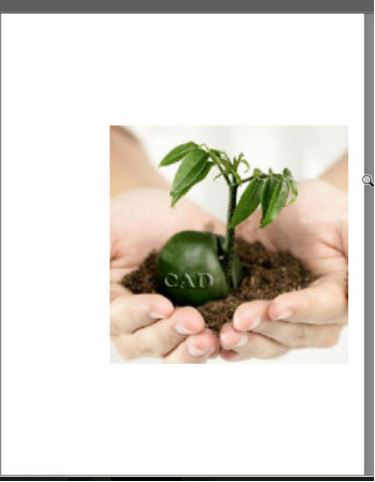 CAD�е�ͼƬ�ı߿���ôȥ������������