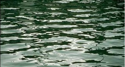 CAD�������������ˮ�е�ӰЧ��