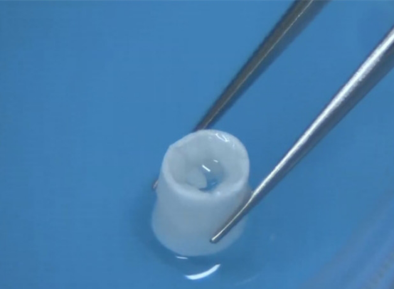 3D��ӡ������ҩ����������е�Ӧ��