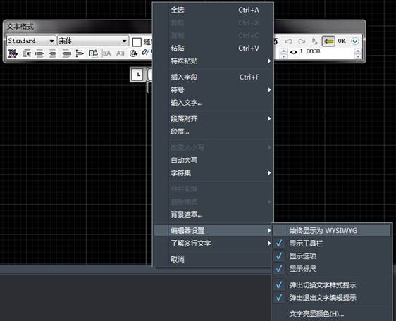 CAD�������ֱ༭���е�WYSIWYG��ʲô��˼