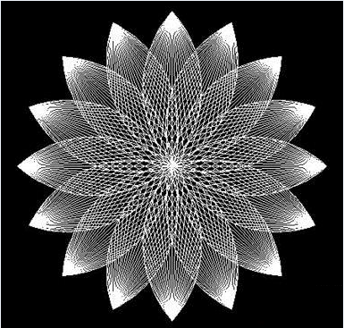 ��CAD�������ɻ�