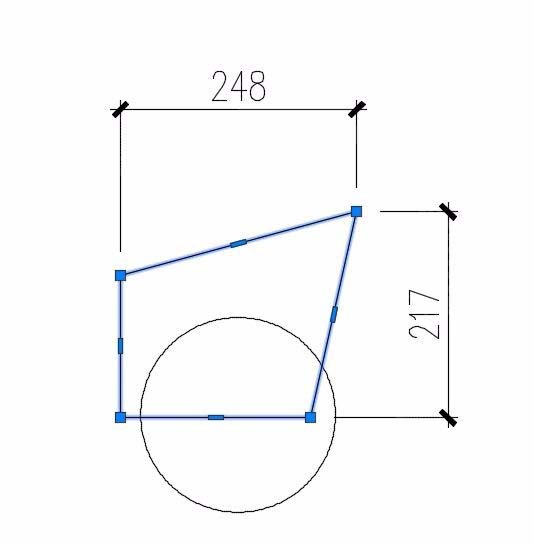 CAD��ô���ñ�ǹ���