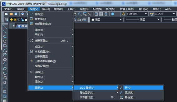 CAD��ô��UCSͼ������