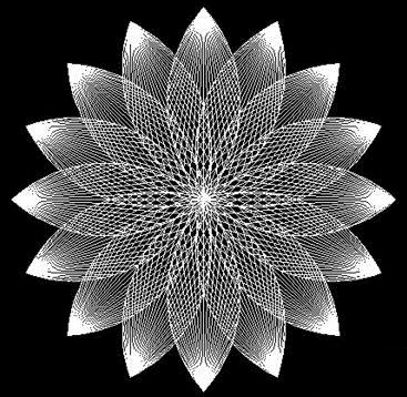 CADºÉ»¨µÄ»æÖÆÒªÁì CADºÉ»¨µÄ»æÖÆÒªÁì