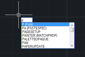 CADʵʱƽ�ƿ�ݼ�