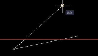 CAD����ͨ��ָ���Ƕ���ת��������������